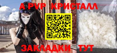 прущие крисы Будённовск