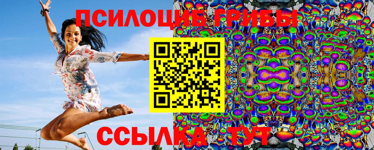 Галлюциногенные грибы Psilocybine cubensis Тихорецк