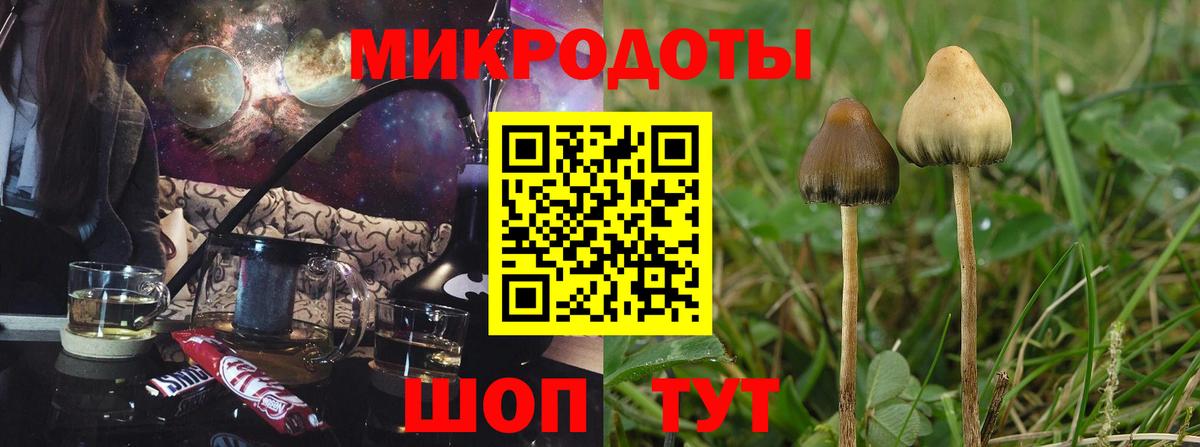 Тихорецк  Псилоцибиновые грибы прущие грибы  Вход с VPN 