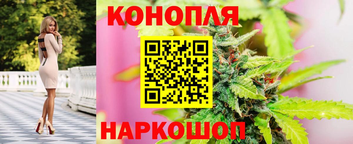 Канабис сатива  Шишки марихуана планчик  Тихорецк  Вход с VPN  Шишки марихуана OG Kush 